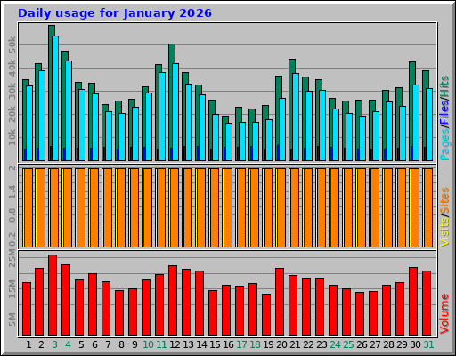 Daily usage for January 2026