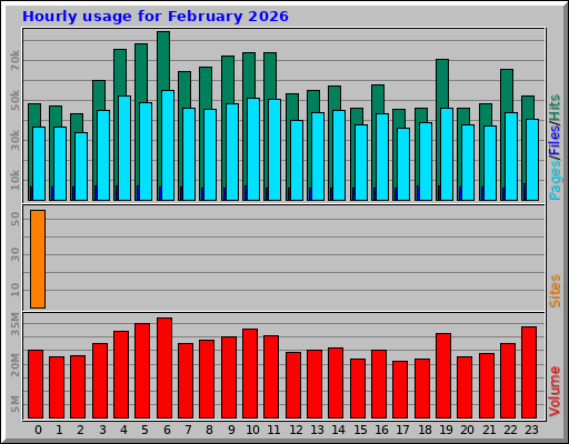 Hourly usage for February 2026